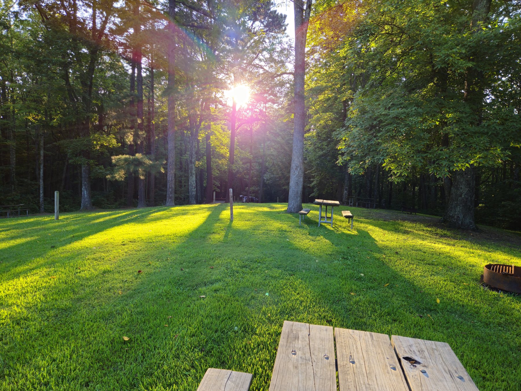 Long evening shadows across the quiet Tar Hollow campground