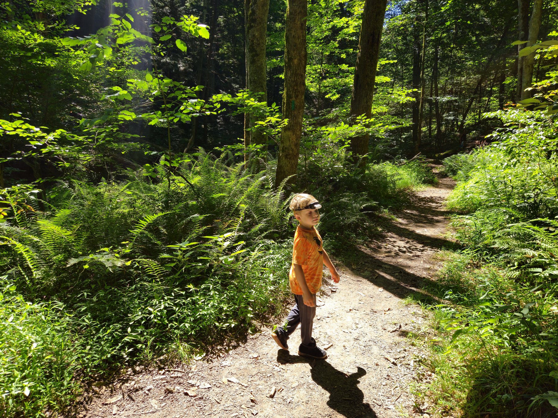 George walking a sunlit forest trail at Carter Caves