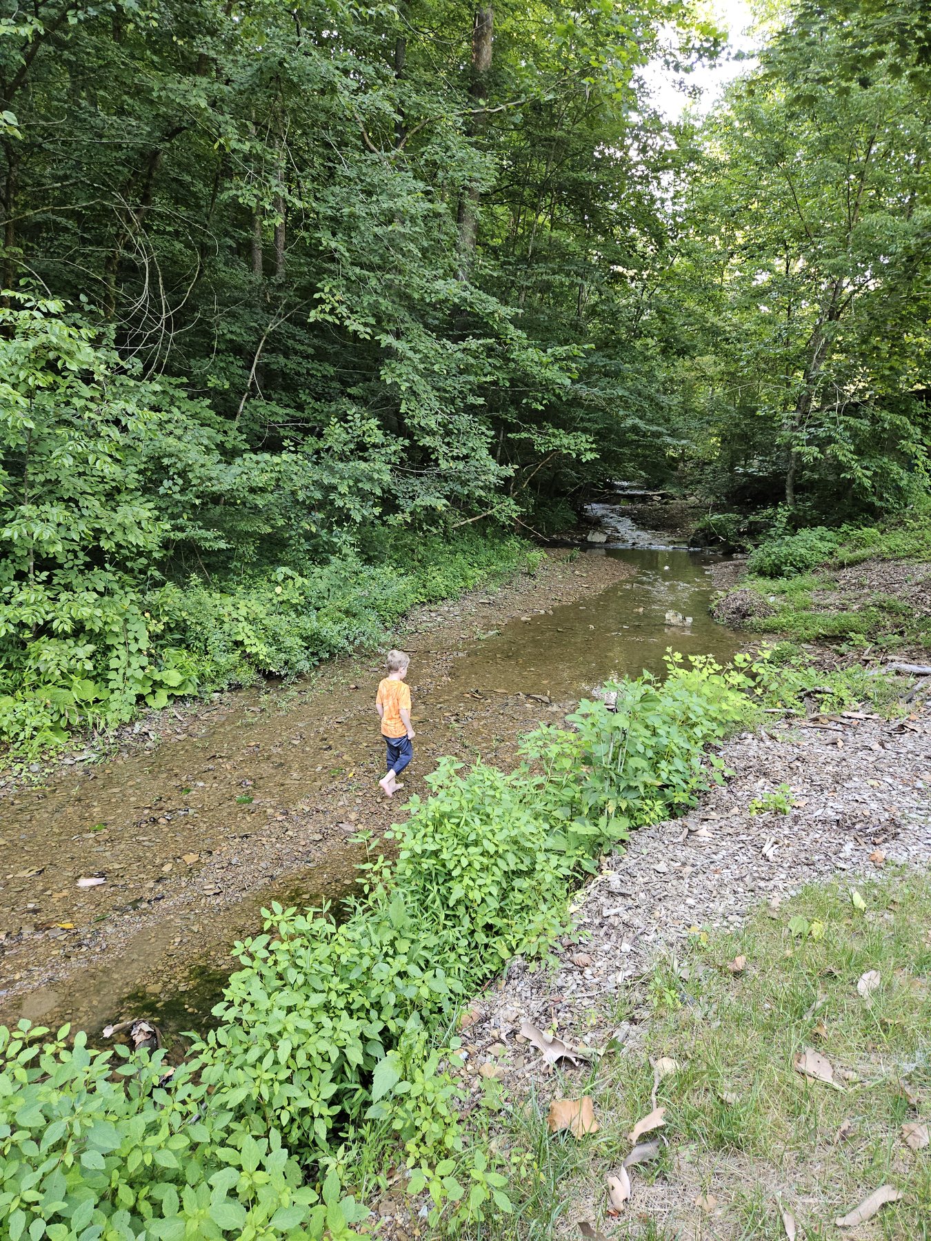 George walking barefoot through a wooded creek